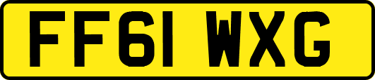 FF61WXG