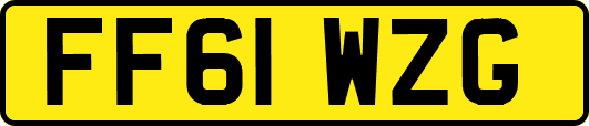 FF61WZG