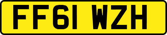 FF61WZH