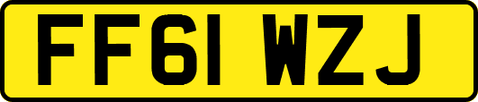 FF61WZJ