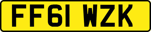 FF61WZK