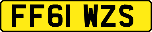 FF61WZS