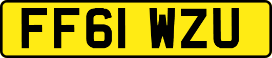 FF61WZU