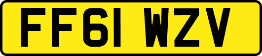 FF61WZV