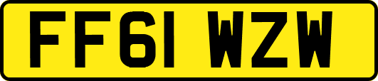 FF61WZW