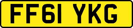 FF61YKG