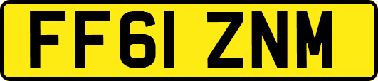 FF61ZNM