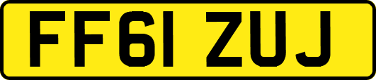 FF61ZUJ