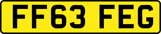 FF63FEG