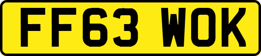 FF63WOK