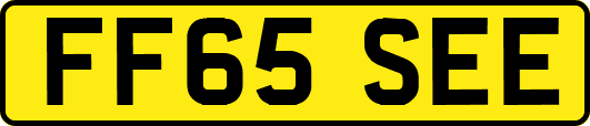 FF65SEE