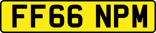 FF66NPM