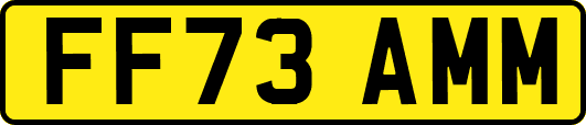 FF73AMM