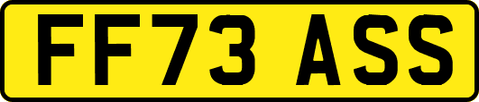 FF73ASS