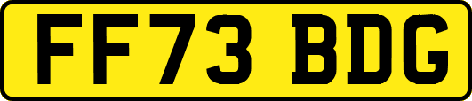 FF73BDG