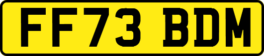 FF73BDM