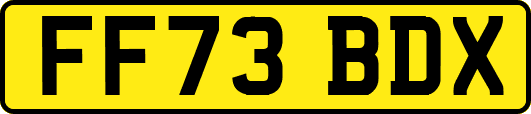 FF73BDX
