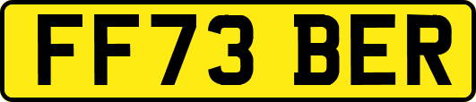 FF73BER