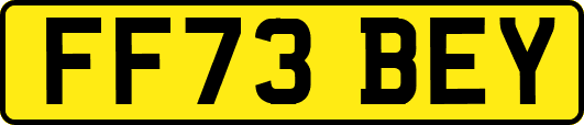 FF73BEY