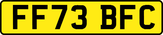 FF73BFC