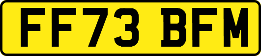 FF73BFM