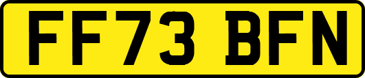 FF73BFN