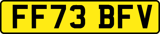 FF73BFV