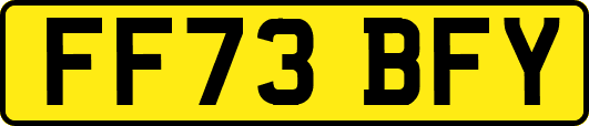 FF73BFY
