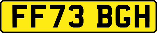 FF73BGH