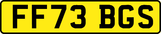 FF73BGS