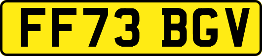 FF73BGV