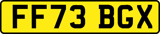 FF73BGX