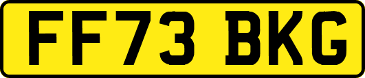 FF73BKG