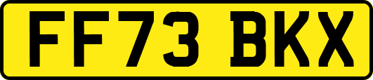 FF73BKX