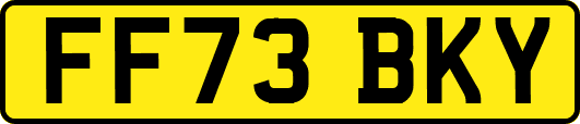 FF73BKY