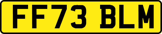 FF73BLM