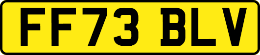 FF73BLV