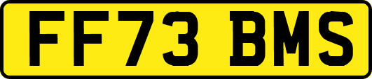 FF73BMS