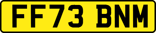 FF73BNM
