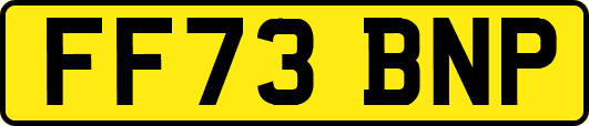 FF73BNP