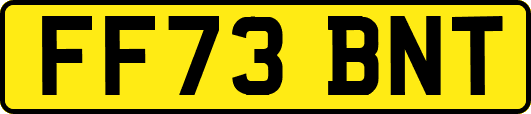 FF73BNT