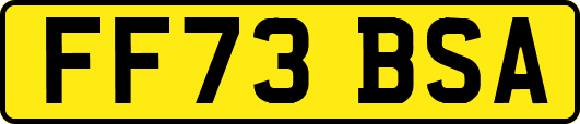 FF73BSA