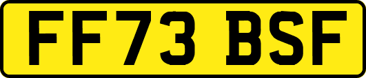 FF73BSF