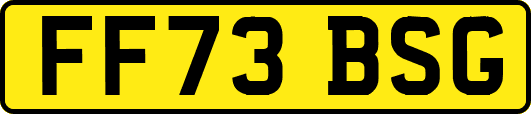 FF73BSG