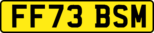 FF73BSM