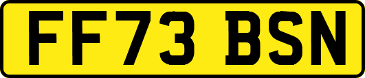FF73BSN