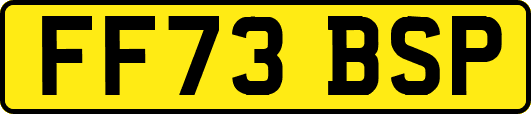 FF73BSP
