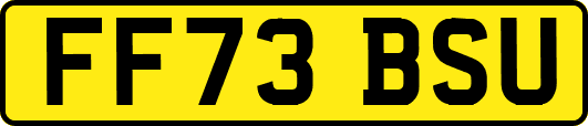 FF73BSU