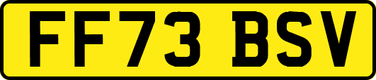 FF73BSV