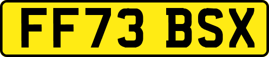 FF73BSX